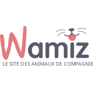 Logo partenaire