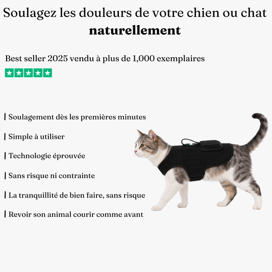 Ceinture de luminothérapie à lumière rouge pour chats et chiens