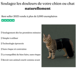 Ceinture de luminothérapie à lumière rouge pour chats et chiens