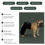 Ceinture de luminothérapie à lumière rouge pour chats et chiens
