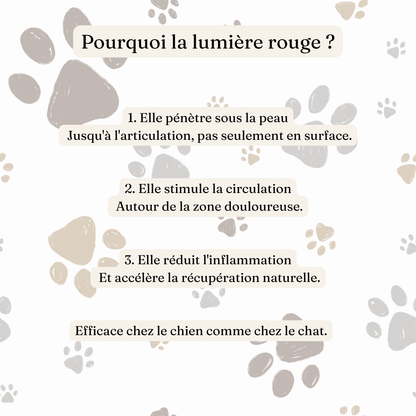 Ceinture de luminothérapie à lumière rouge pour chats et chiens