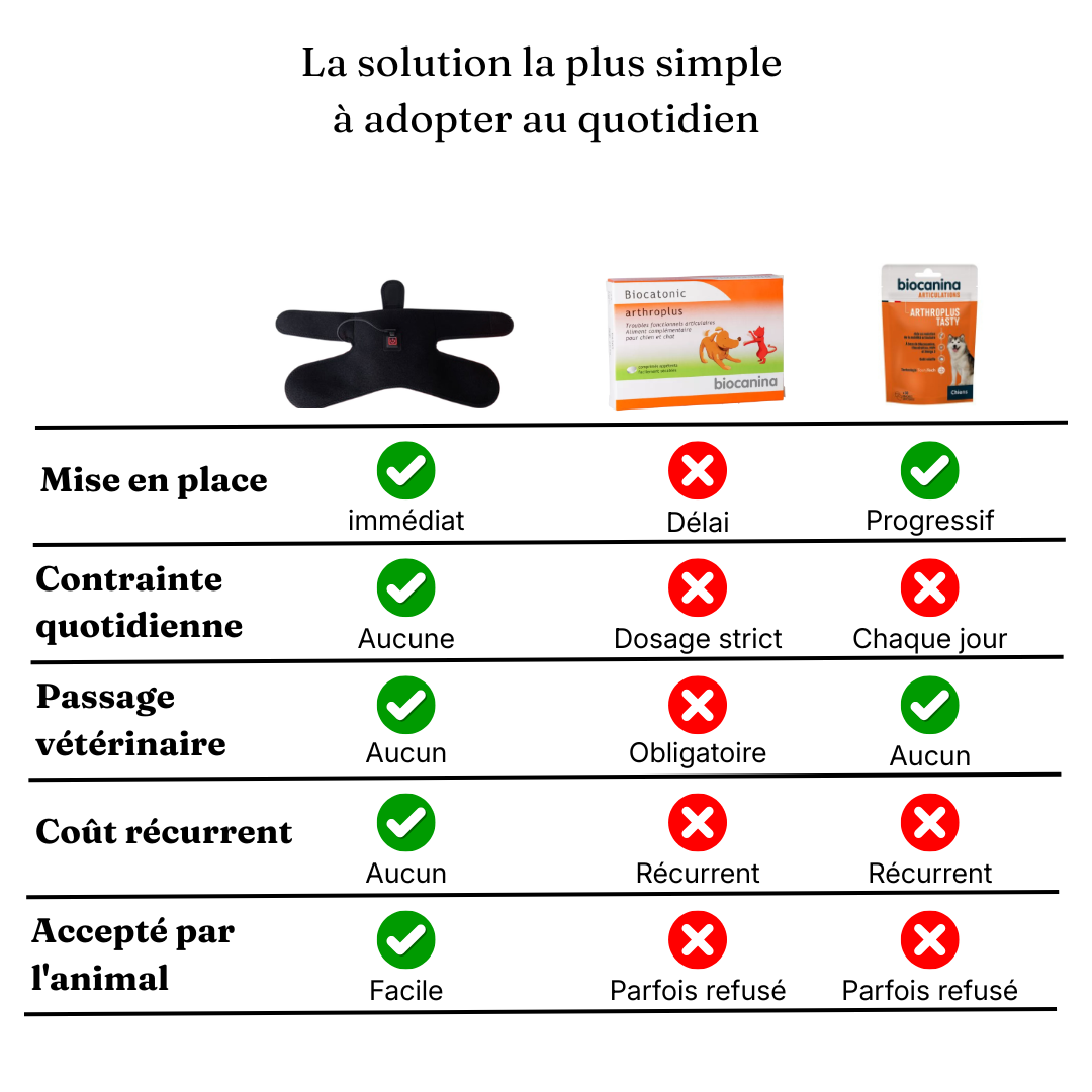 Ceinture de luminothérapie à lumière rouge pour chats et chiens