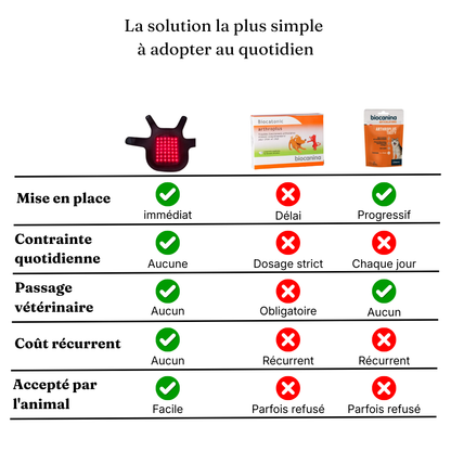 Ceinture de luminothérapie à lumière rouge pour chats et chiens