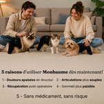 Ceinture de luminothérapie à lumière rouge pour chats et chiens