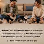 Ceinture de luminothérapie à lumière rouge pour chats et chiens