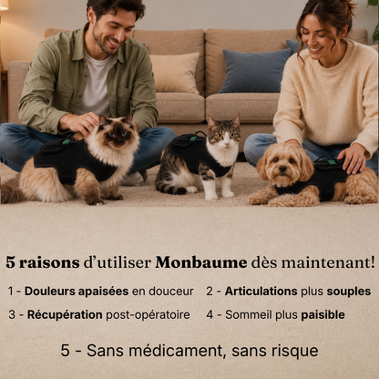 Ceinture de luminothérapie à lumière rouge pour chats et chiens